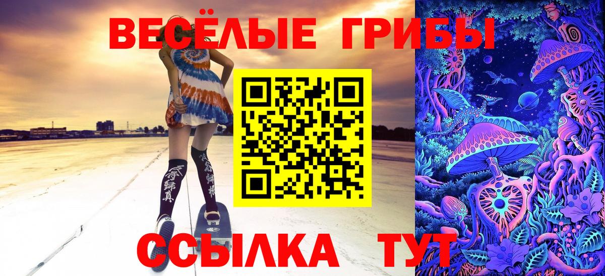 Галлюциногенные грибы мицелий  Вход с VPN  Дивногорск 