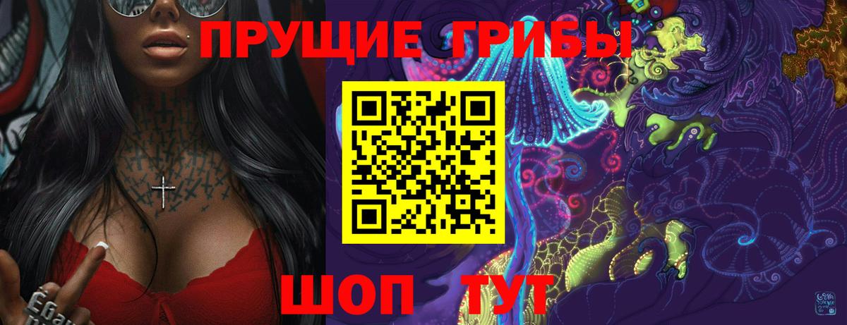 Псилоцибиновые грибы Psilocybine cubensis Дивногорск